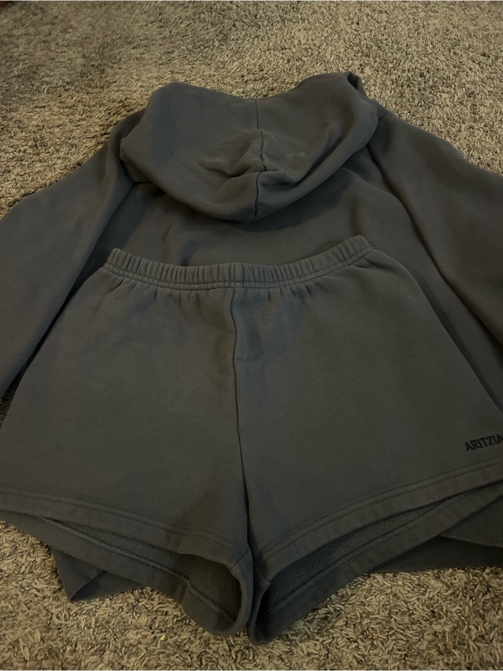 Aritzia Cozy Hoodie